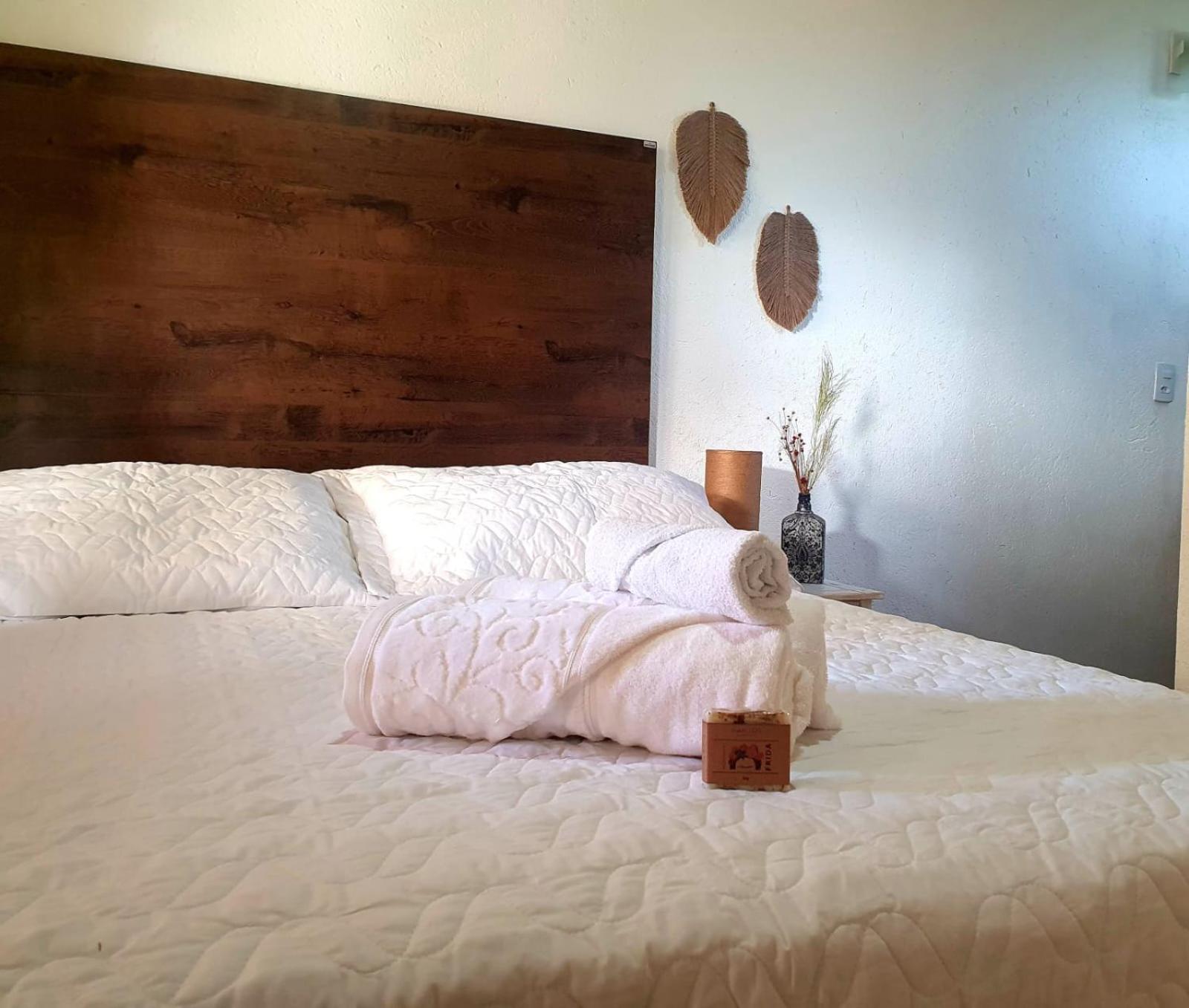 Sitio Juara Bed & Breakfast Santa Teresa  Oda fotoğraf
