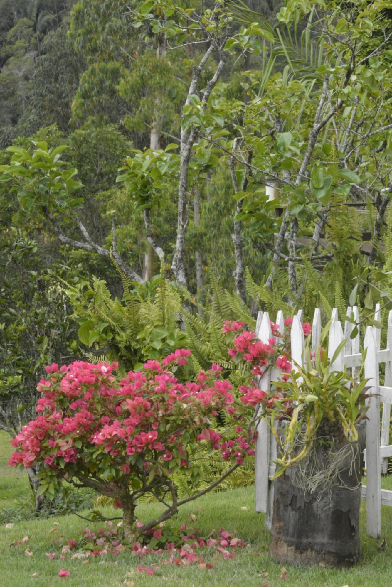 Sitio Juara Bed & Breakfast Santa Teresa  Dış mekan fotoğraf